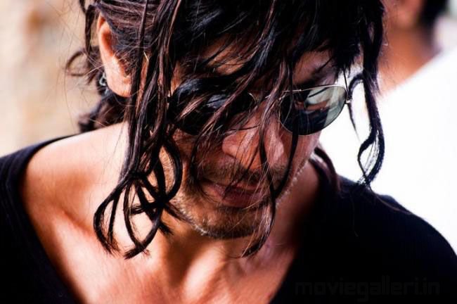 shahrukh-khan-in-don2-pics-pictures-2