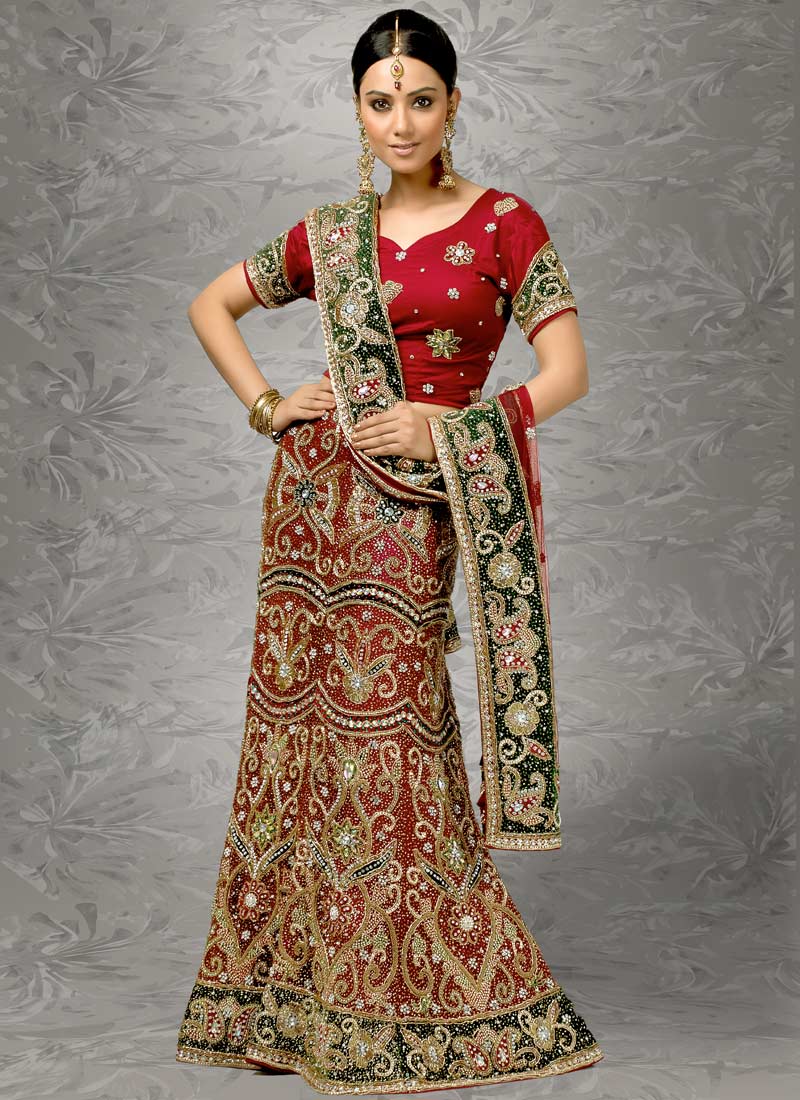 sarees-indian-saree-saree-design-2012-10