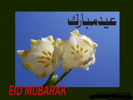 eid-mubarak-greeting-cards-2012-pictures-photos-2