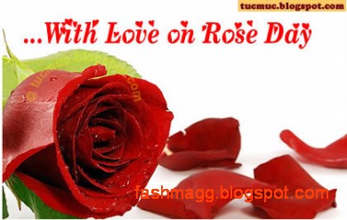 Valentines-Day-Cards-Pictures-Valentine-Special-Gifts-Valentines-Ideas-Love-Cards-Valentines-Photos-3