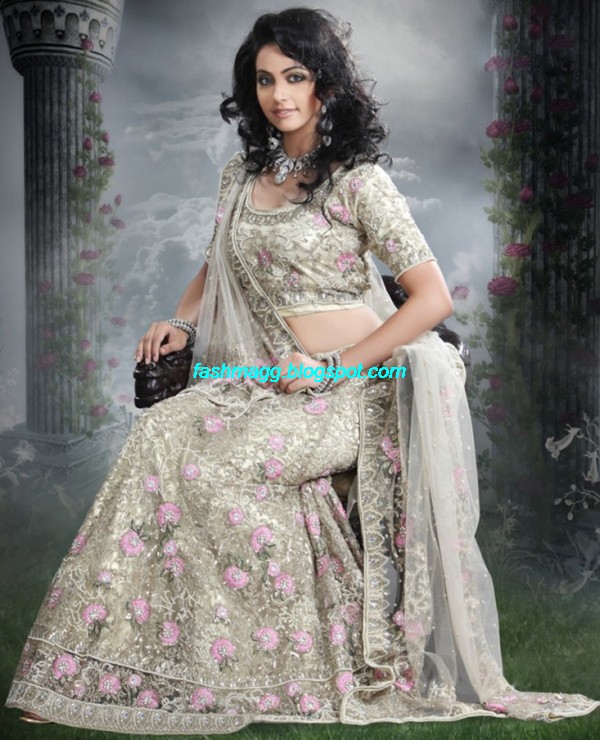 Indian-Beautiful-Bridal-Lehenga-Choli-Dress-for-Brides-Wear-New-Fashionable-Dress-Design-2013-2