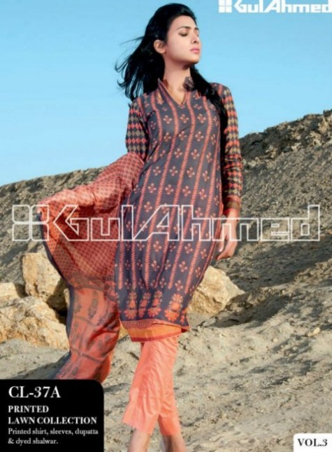 Gul-Ahmed-Lawn-New-Springs-Summer-Collection-2013-Vol-3-3