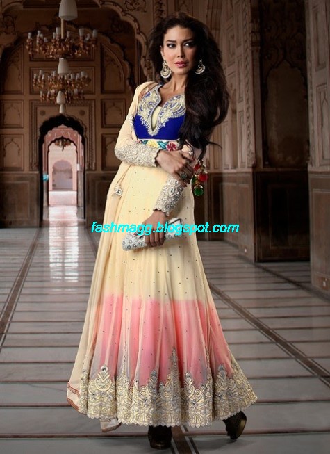 Anarkali-Bridal-Wedding-Dress-Collection 2013-Beautiful-Best-Anarkali-Clothes-Online-Stores-