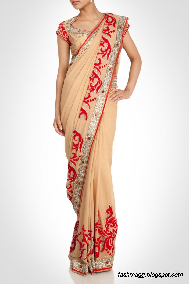 Beautiful-Elegent-New-Indian-Silk-Embroidered-Saree-Design-2013-for-Girls-1