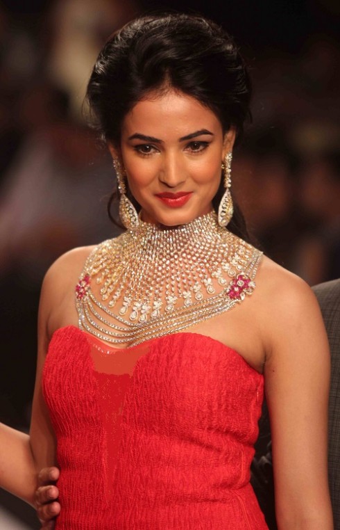 kashi Jewels Show at IIJW 2013 Day 4 Pictures 1