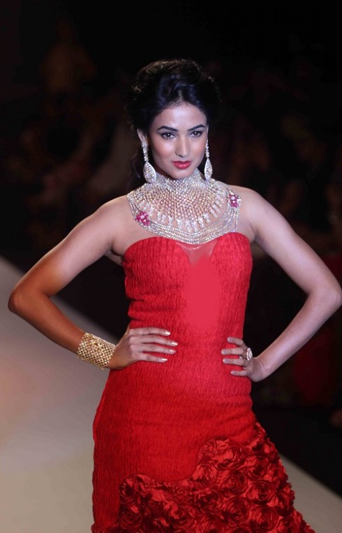 kashi Jewels Show at IIJW 2013 Day 4 Pictures 