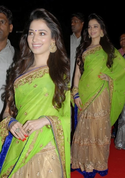 Bollywood-Indian Movies Actresses Celebrities Stars Wear Beautiful Designers Saree-Sari-3