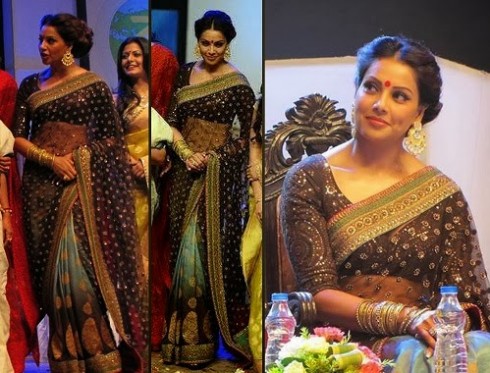 Bollywood-Indian Movies Actresses Celebrities Stars Wear Beautiful Designers Saree-Sari-5