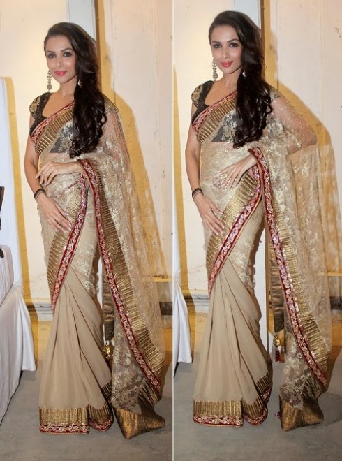 Bollywood-Indian Movies Actresses Celebrities Stars Wear Beautiful Designers Saree-Sari-9