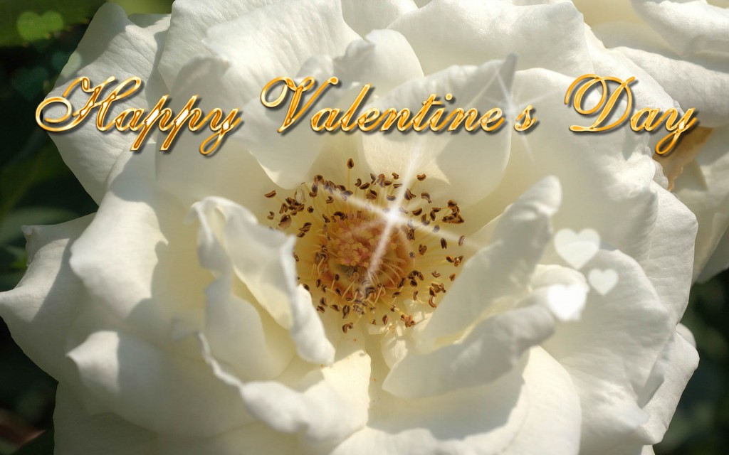 Happy-Valentine,s-Day-ECards-Pictures-Valentine-Rose-Flower-Card-For-Love-You-Him-Her-Photo-5