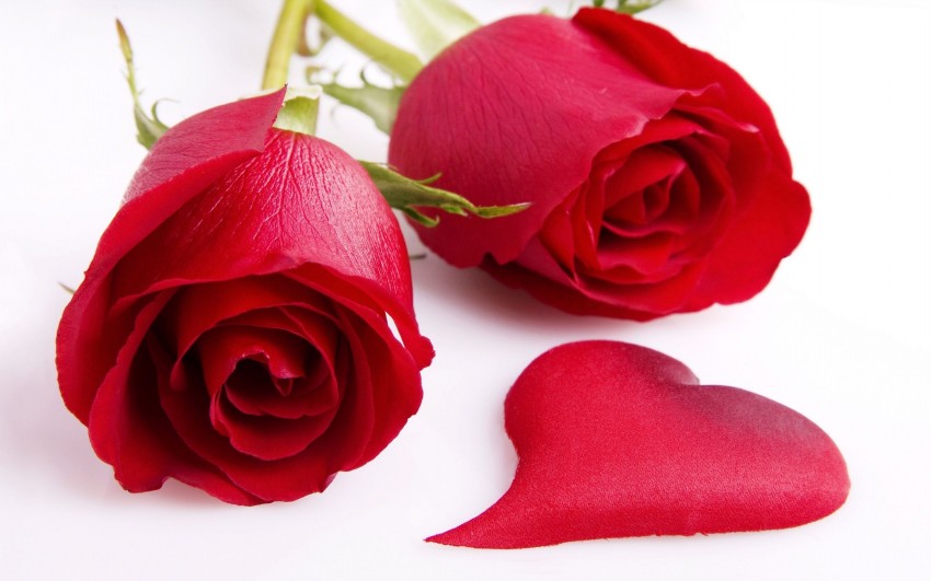 Valentine,s-Day-Red-Rose-Flower-Greeting-Cards-Pictures-Valentine-Gifts-Valentines-Love-Heart-Card-Image-1