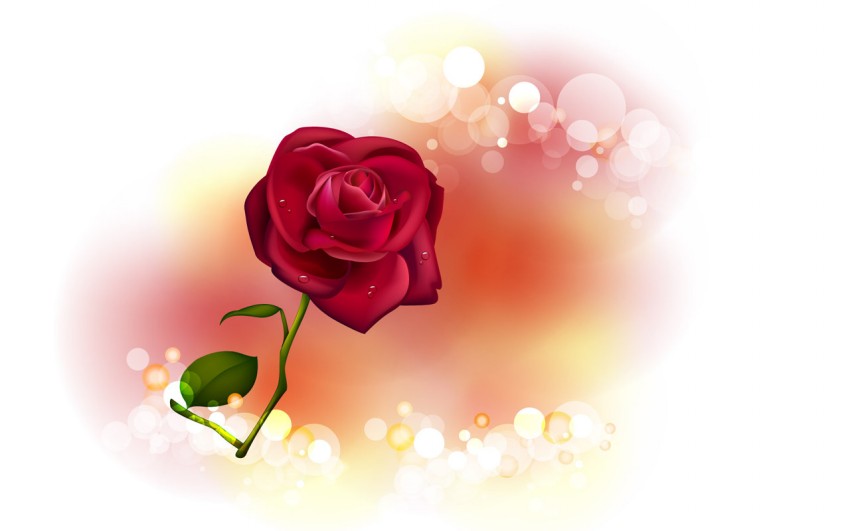 Valentine,s-Day-Red-Rose-Flower-Greeting-Cards-Pictures-Valentine-Gifts-Valentines-Love-Heart-Card-Image-2