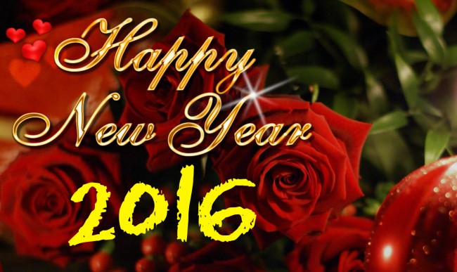 Happy New Year 2016 Greeting Cards Design Pictures-New Year Beautifu-Cute-Colorful-Printed Card Images-10