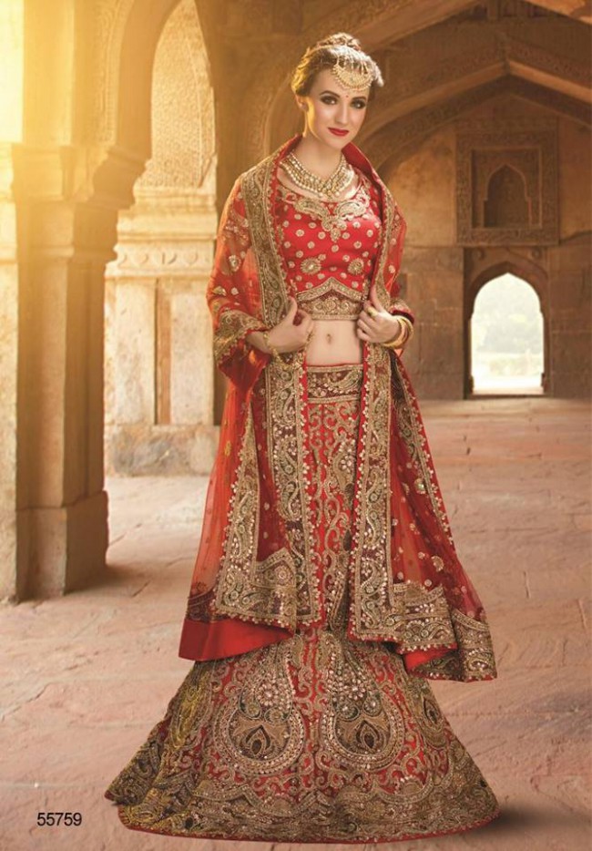 New Fashionable Lehnga Choli-Sharara Winter Indian Wedding-Bridal Dress By Natasha Couture-2